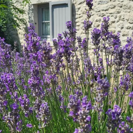 Pitchounette B&B Chaumont-Gistoux