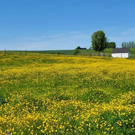Pitchounette B&B Chaumont-Gistoux
