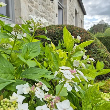 Pitchounette B&B 4*