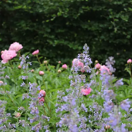 לינה וארוחת בוקר Pitchounette Chaumont-Gistoux