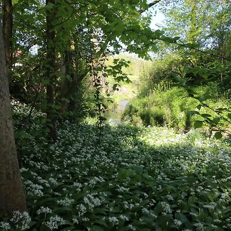 Pitchounette Chaumont-Gistoux