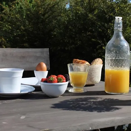 לינה וארוחת בוקר Pitchounette 4*